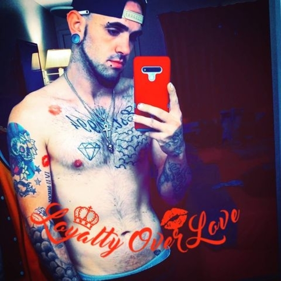 Meet your Posher, Joey - Picture 1 of 1